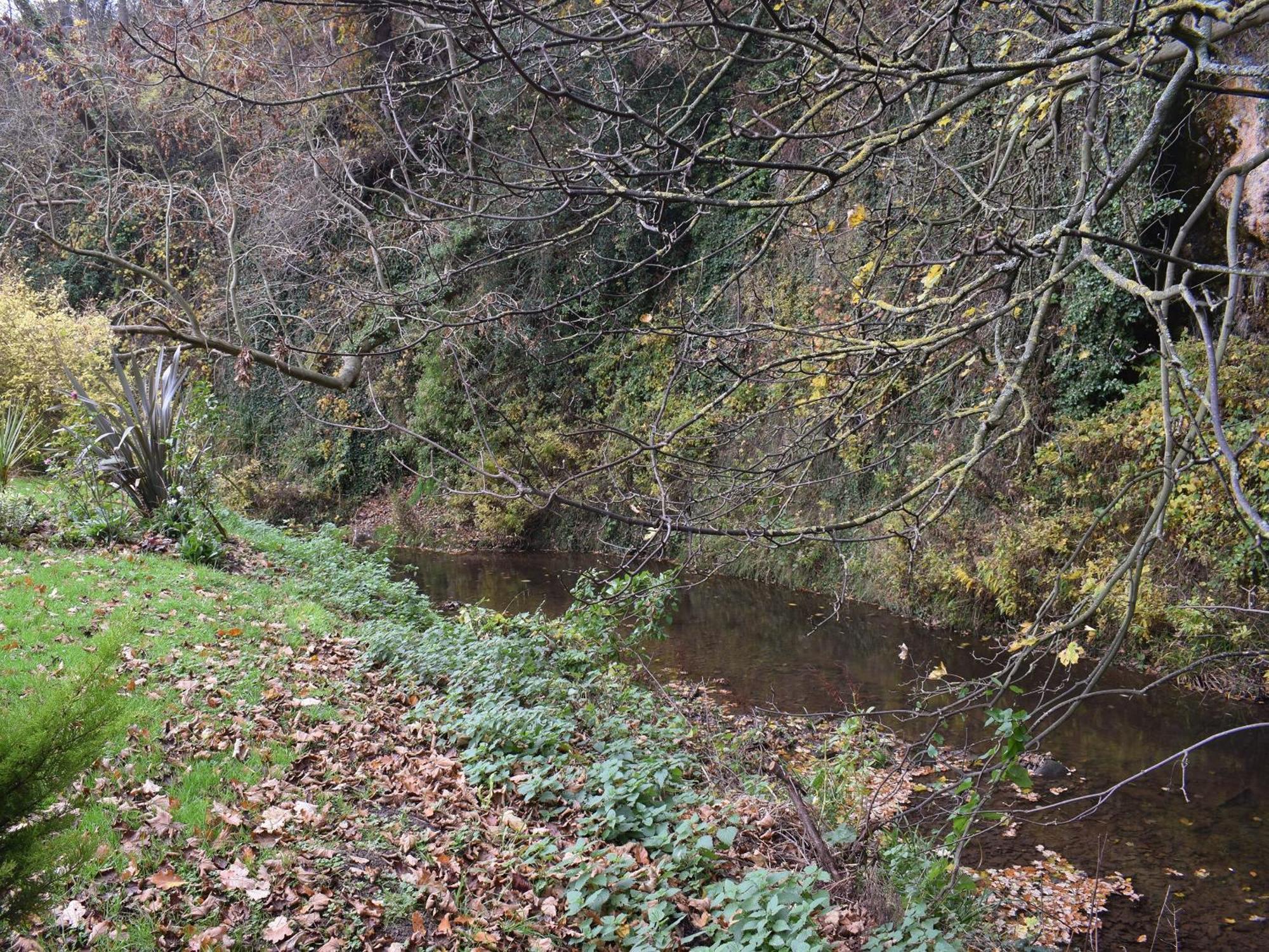 Pheasant Lodge Staithes Eksteriør billede